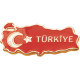 Türk Bayrağı Rozeti 2